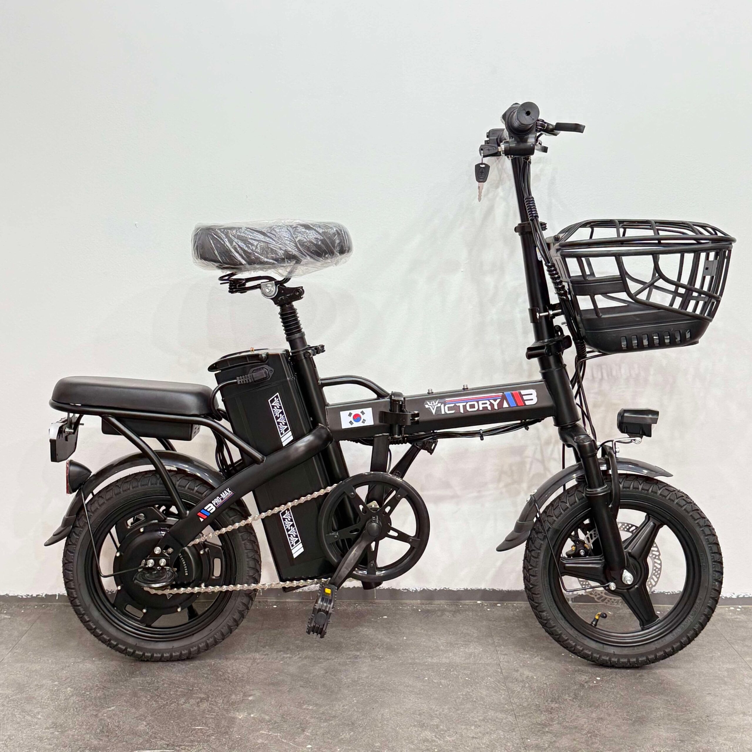 Victory m3 pro 48v12ah/20ah