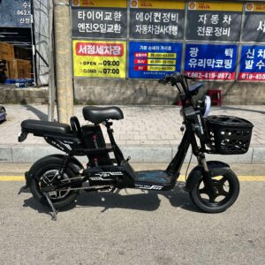 Victory v3 plus 48v12ah/20ah