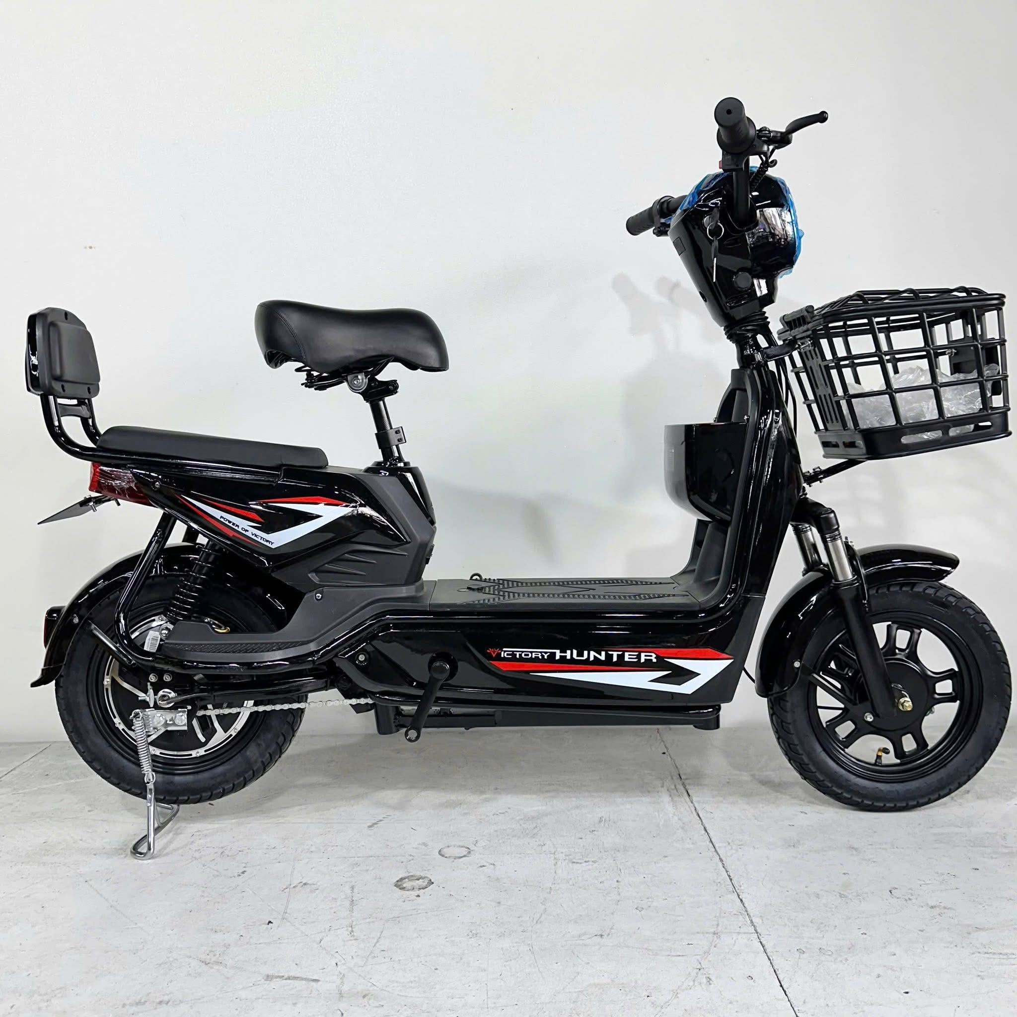 Victory hunter 48v12ah 48v20ah - Ảnh 3
