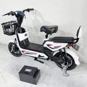 Victory hunter 48v12ah 48v20ah