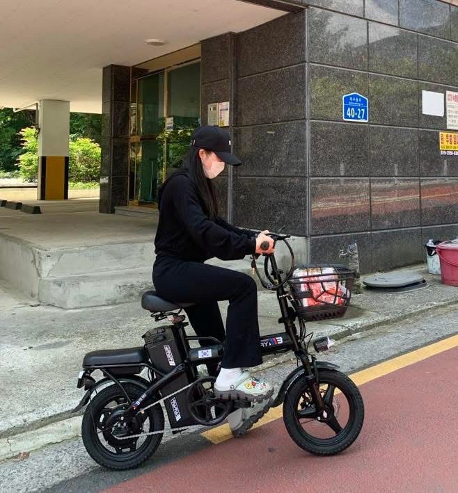 Victory m3 pro 48v12ah/20ah - Ảnh 3