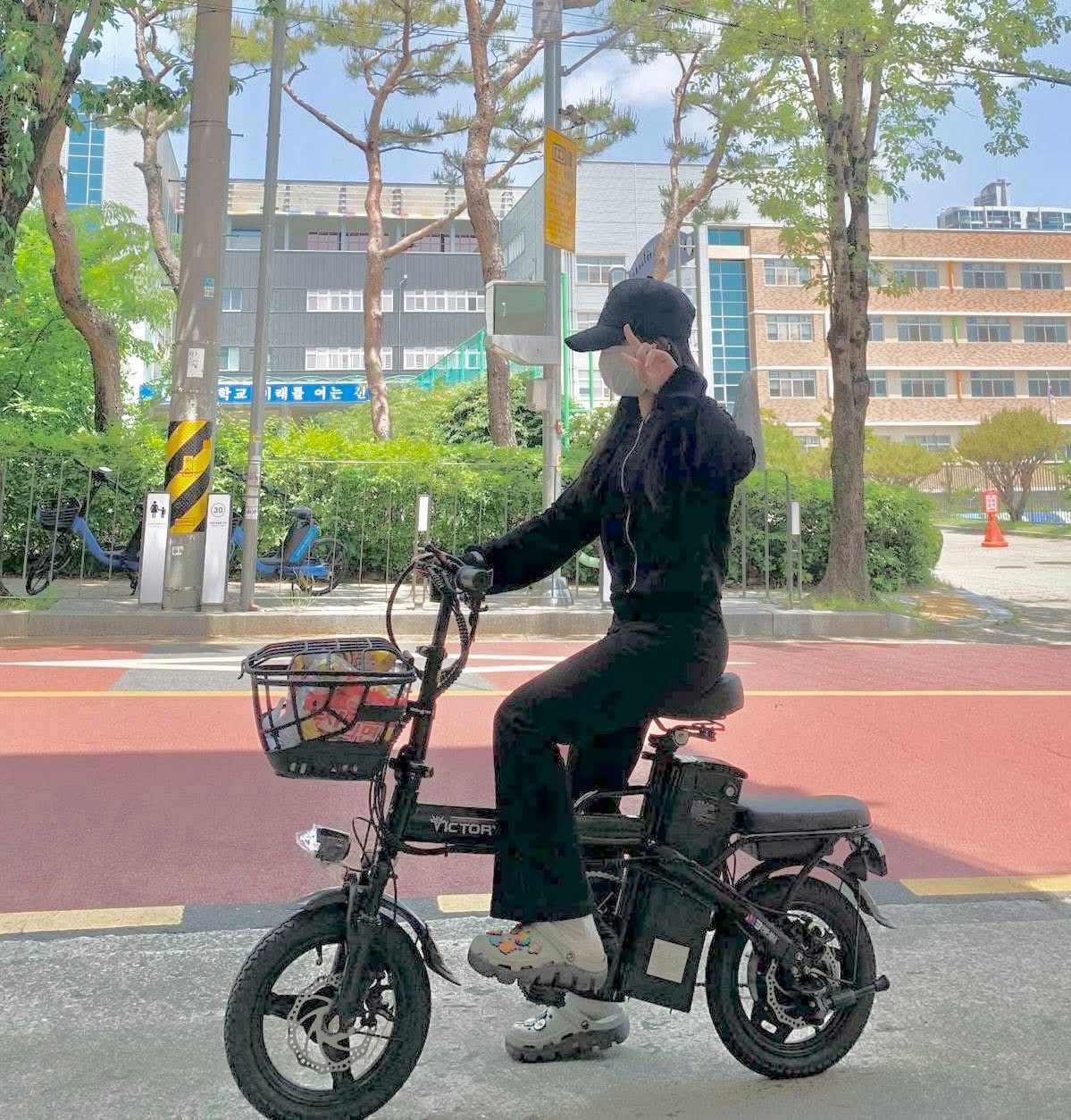 Victory m3 pro 48v12ah/20ah - Ảnh 2