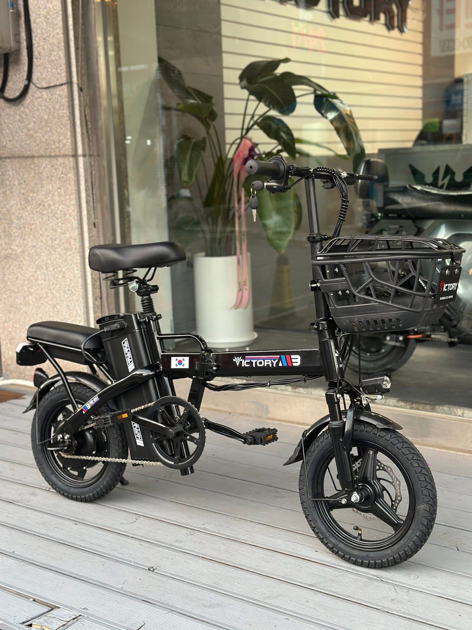 Victory m3 pro 48v12ah/20ah - Ảnh 4